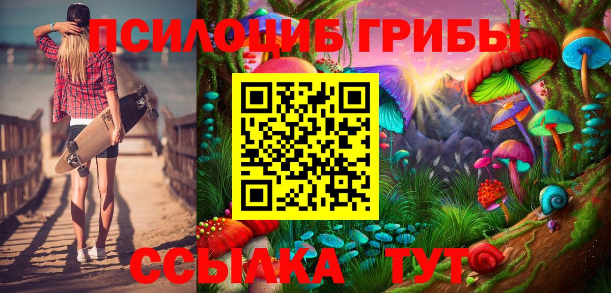 Спасск-Дальний  Галлюциногенные грибы мицелий  Вход с VPN 